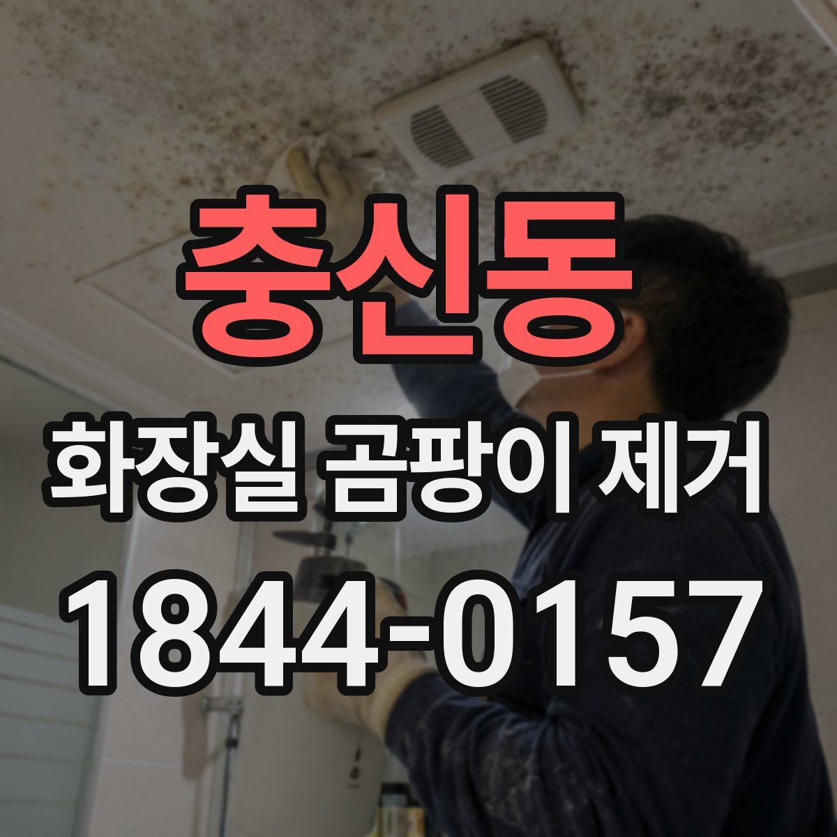 충신동 화장실 곰팡이 제거