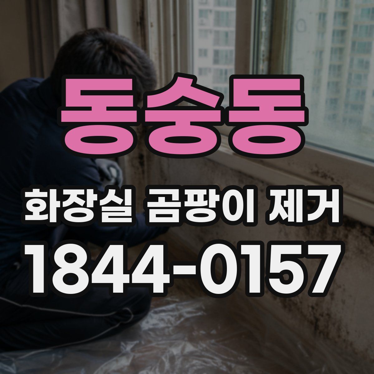 동숭동 화장실 곰팡이 제거