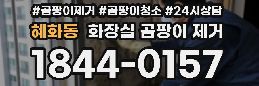 혜화동 화장실 곰팡이 제거