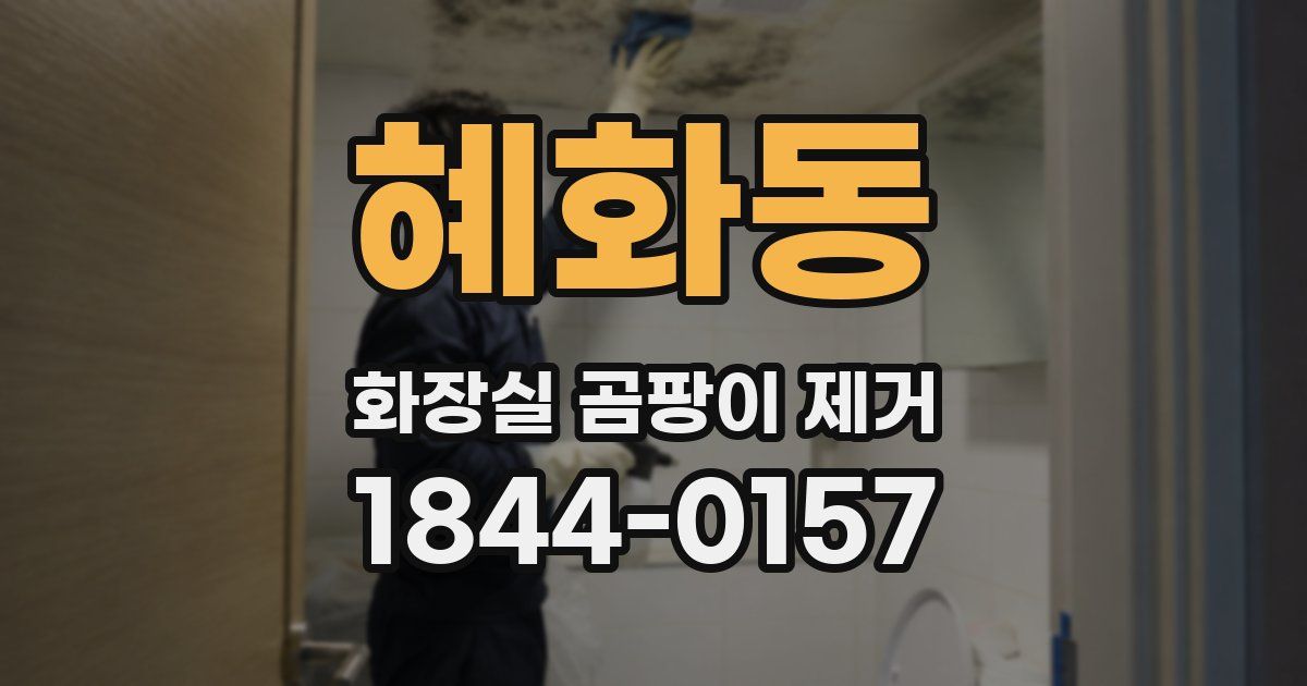 혜화동 화장실 곰팡이 제거