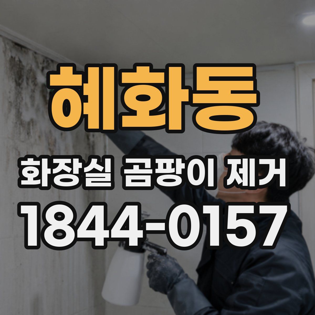 혜화동 화장실 곰팡이 제거
