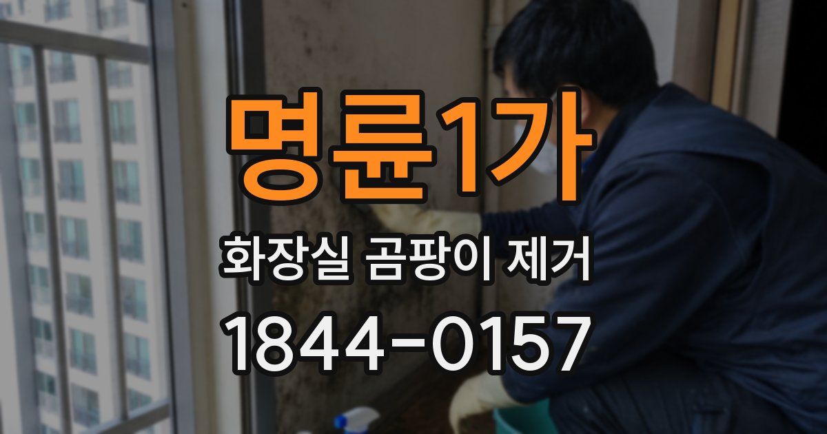 명륜1가 화장실 곰팡이 제거