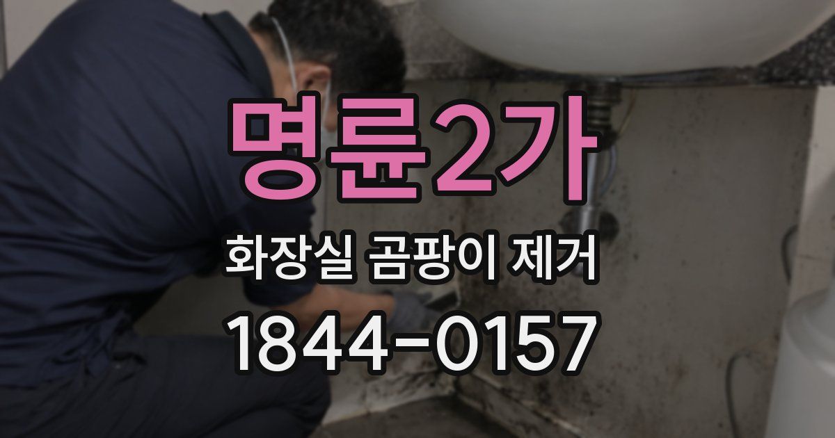 명륜2가 화장실 곰팡이 제거