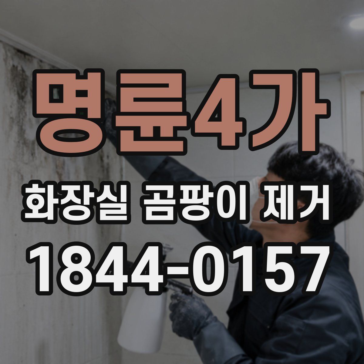 명륜4가 화장실 곰팡이 제거