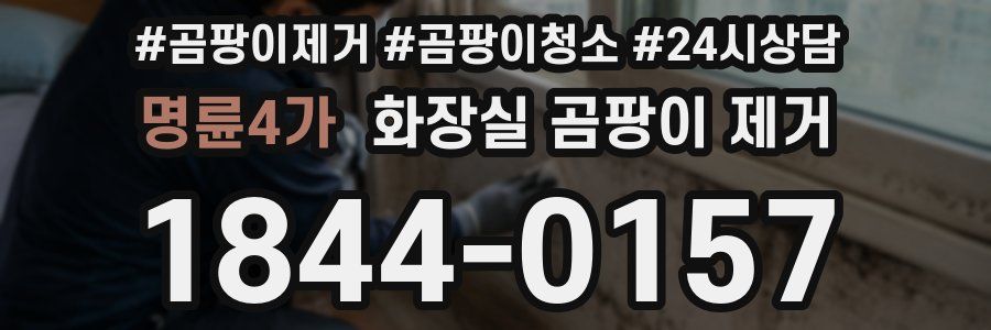 명륜4가 화장실 곰팡이 제거