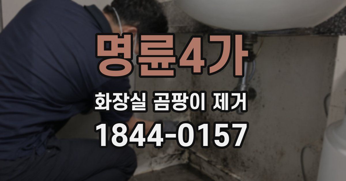 명륜4가 화장실 곰팡이 제거