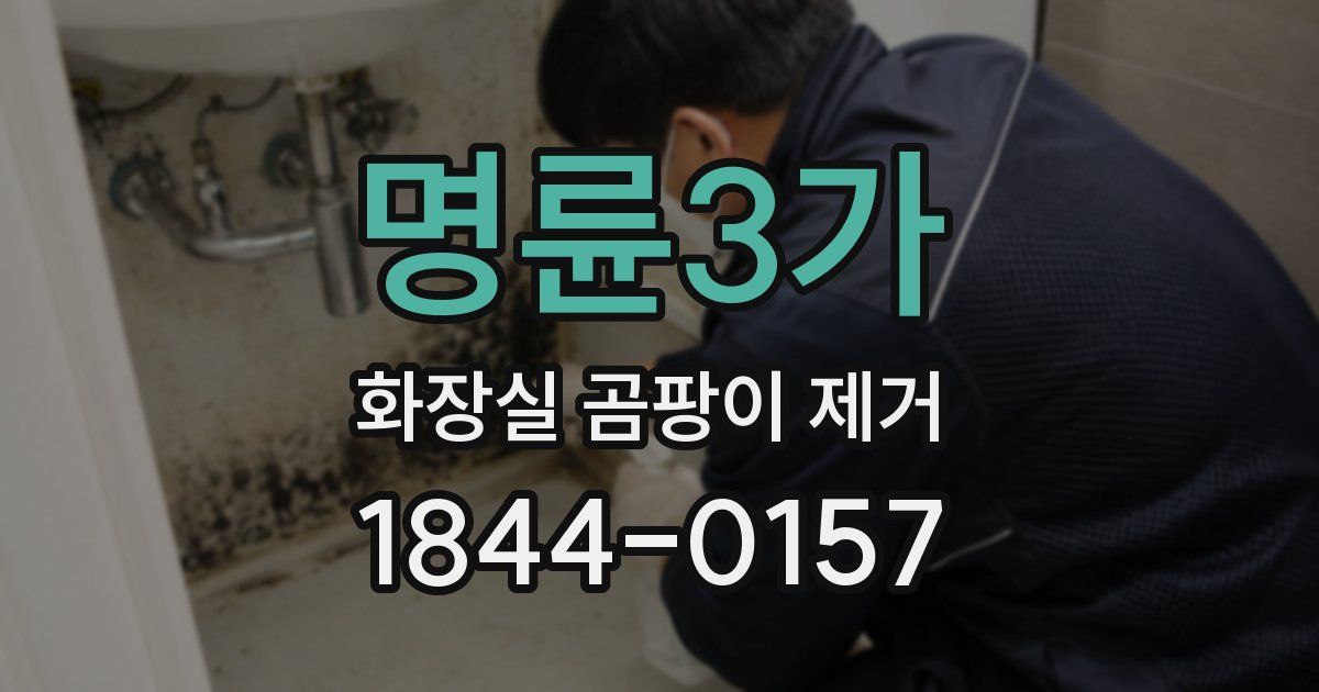 명륜3가 화장실 곰팡이 제거