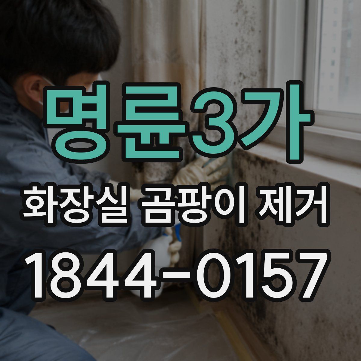 명륜3가 화장실 곰팡이 제거