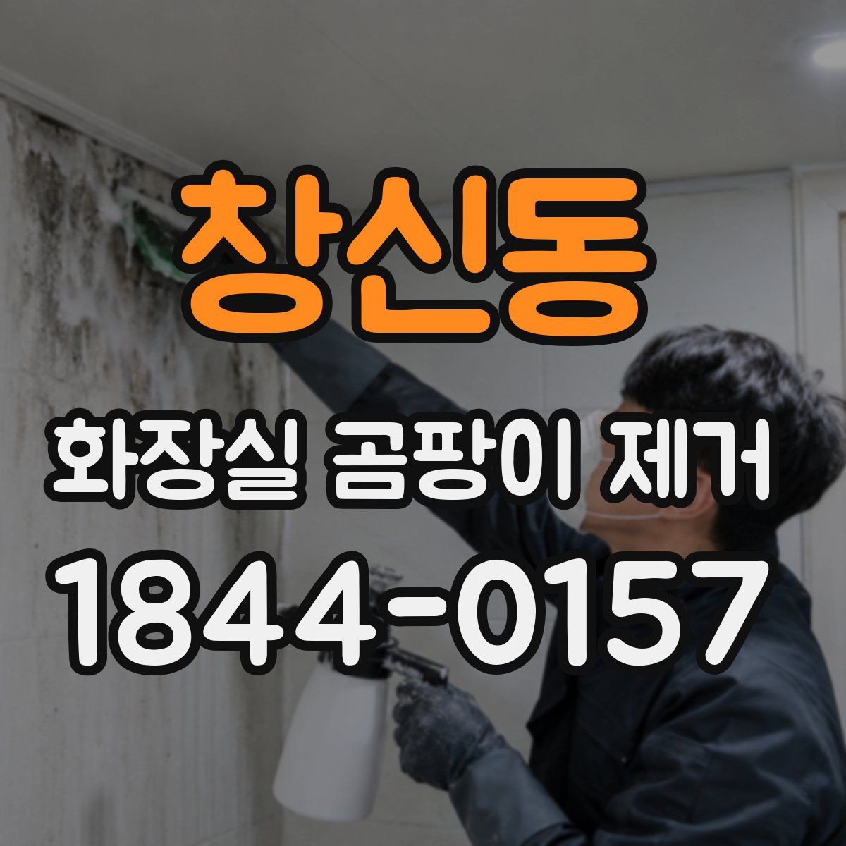 창신동 화장실 곰팡이 제거