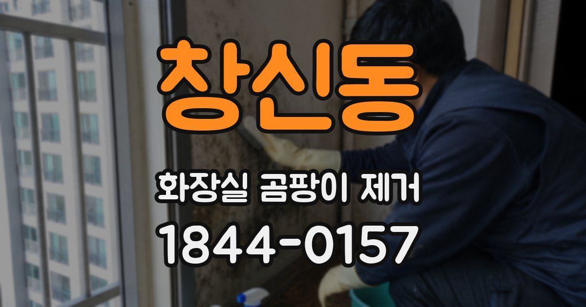 창신동 화장실 곰팡이 제거