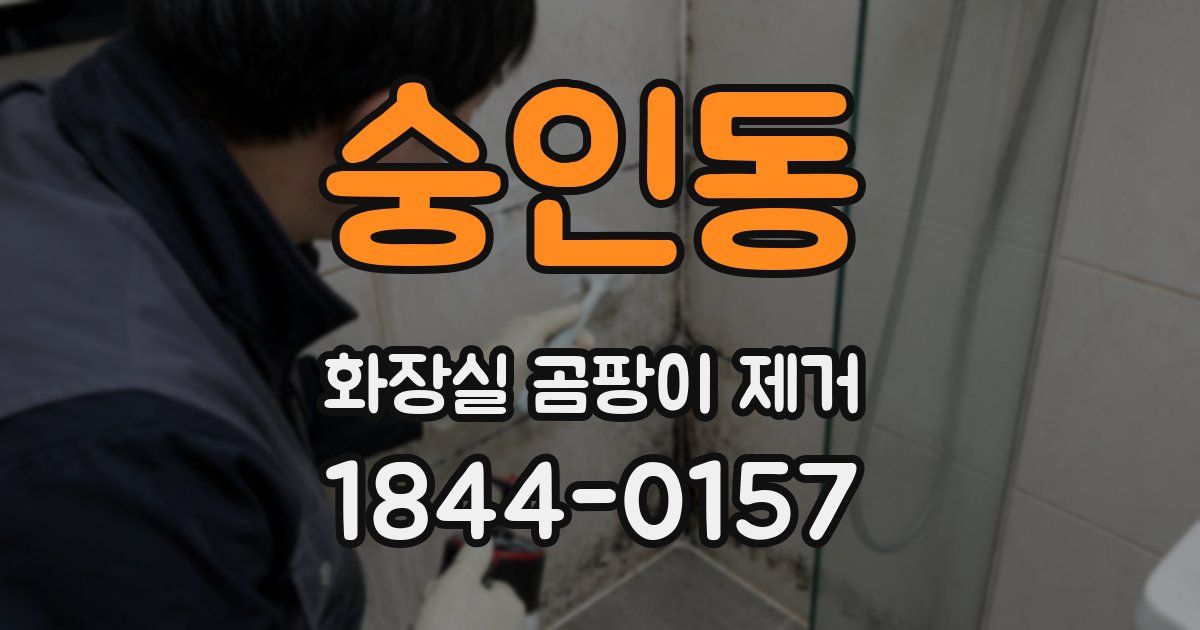 숭인동 화장실 곰팡이 제거