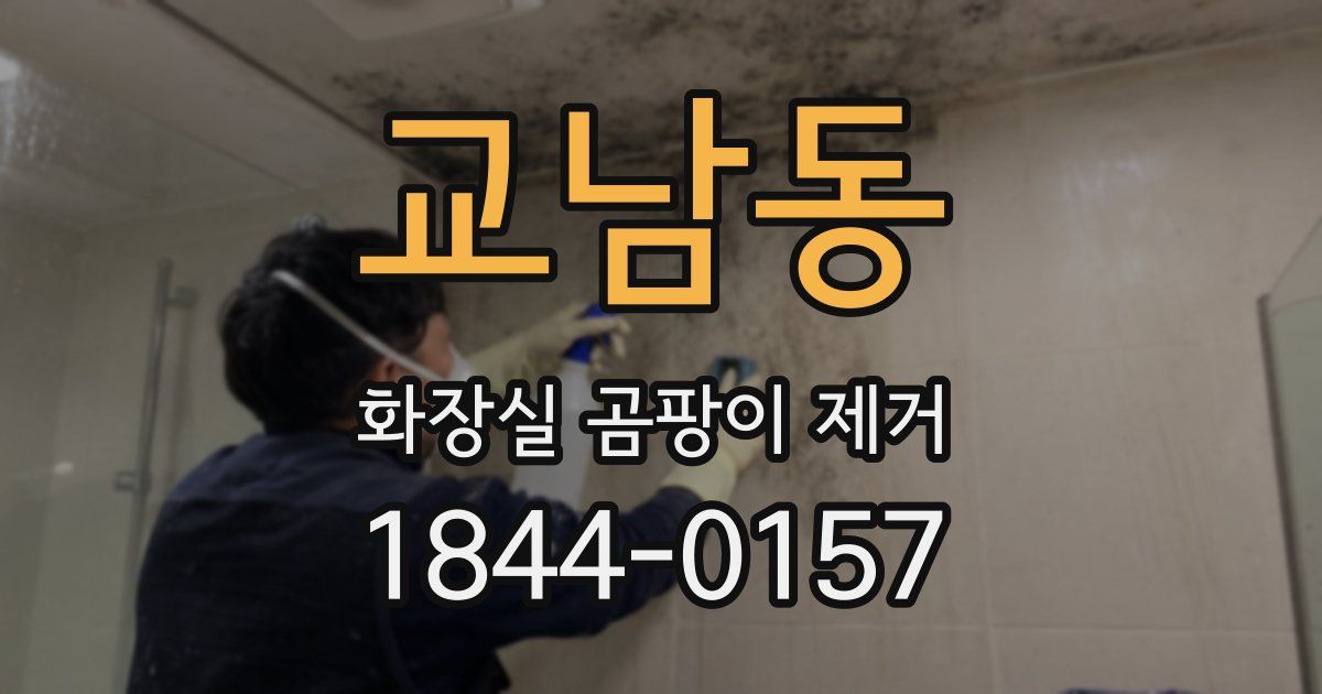 교남동 화장실 곰팡이 제거