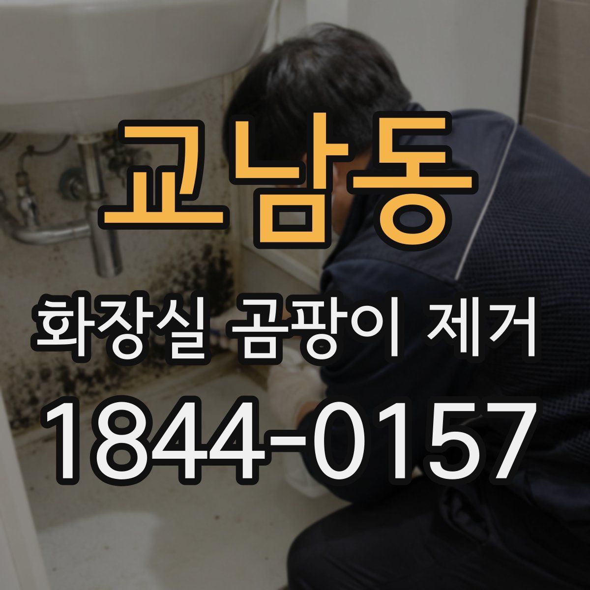 교남동 화장실 곰팡이 제거