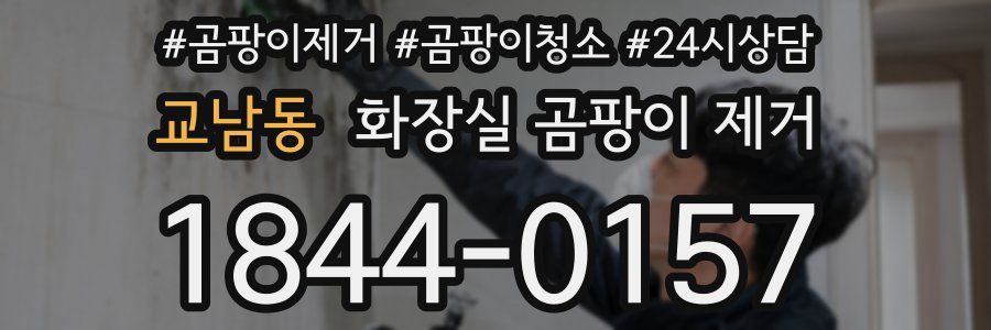 교남동 화장실 곰팡이 제거