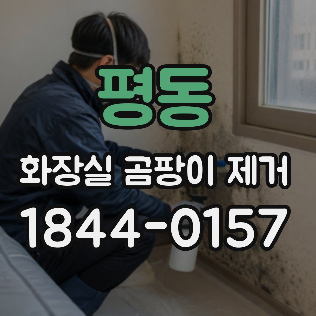 평동 화장실 곰팡이 제거