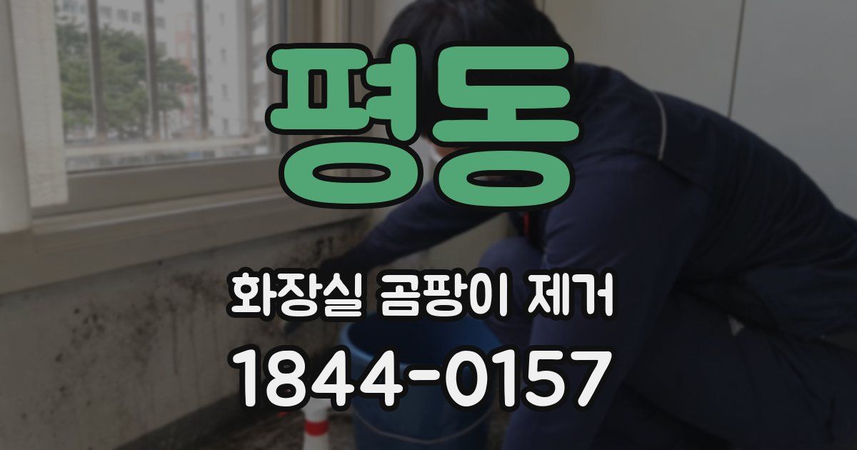 평동 화장실 곰팡이 제거