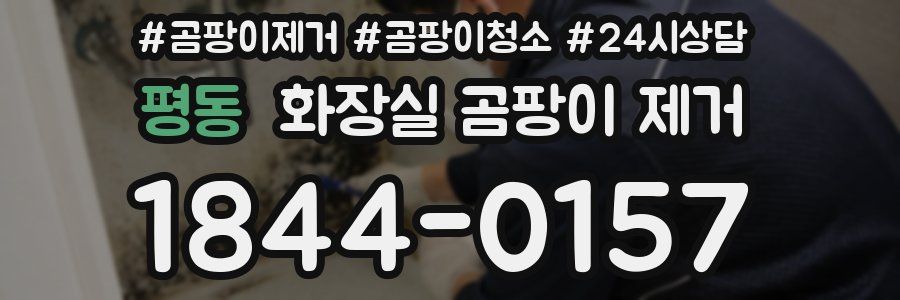 평동 화장실 곰팡이 제거