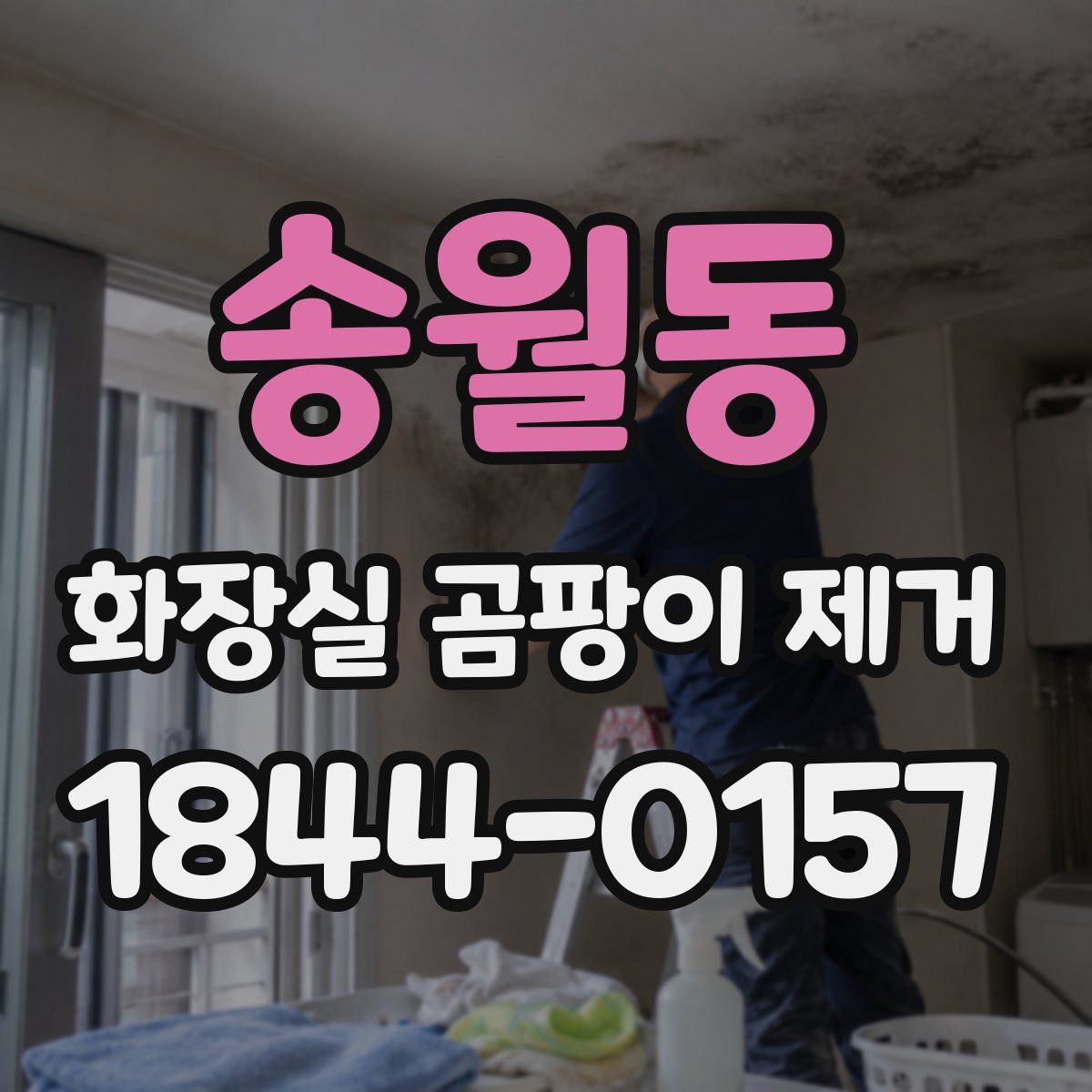 송월동 화장실 곰팡이 제거