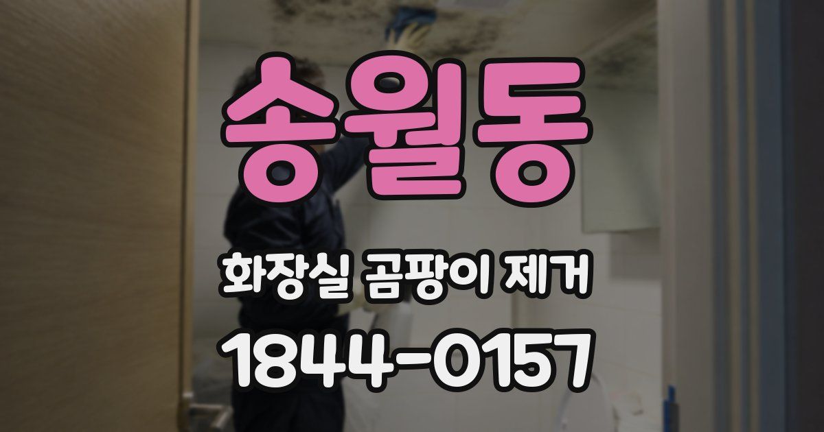 송월동 화장실 곰팡이 제거