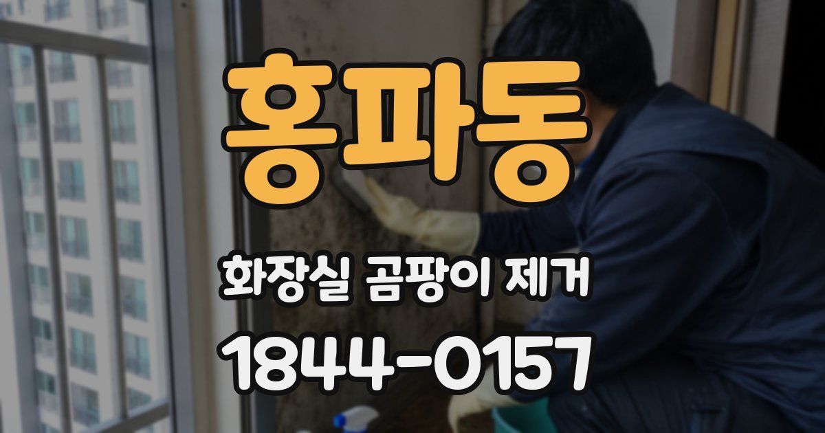 홍파동 화장실 곰팡이 제거