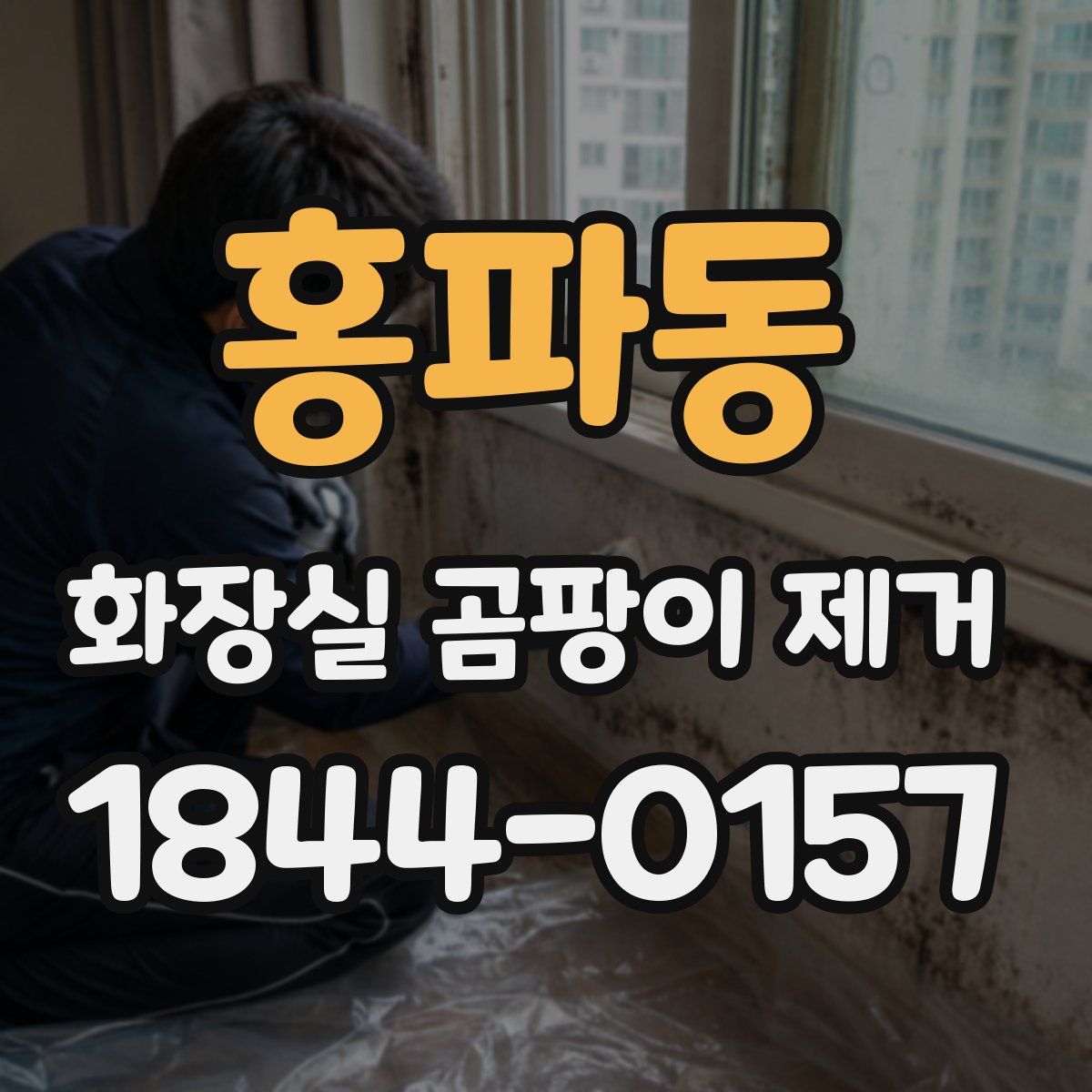 홍파동 화장실 곰팡이 제거