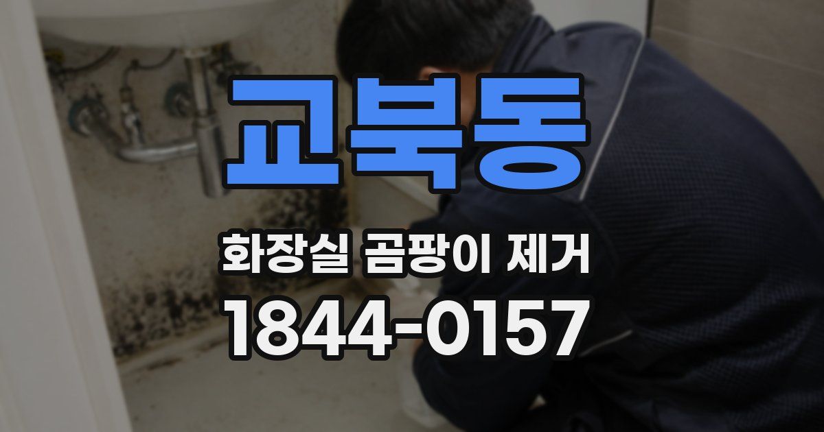 교북동 화장실 곰팡이 제거