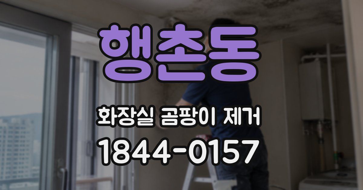 행촌동 화장실 곰팡이 제거