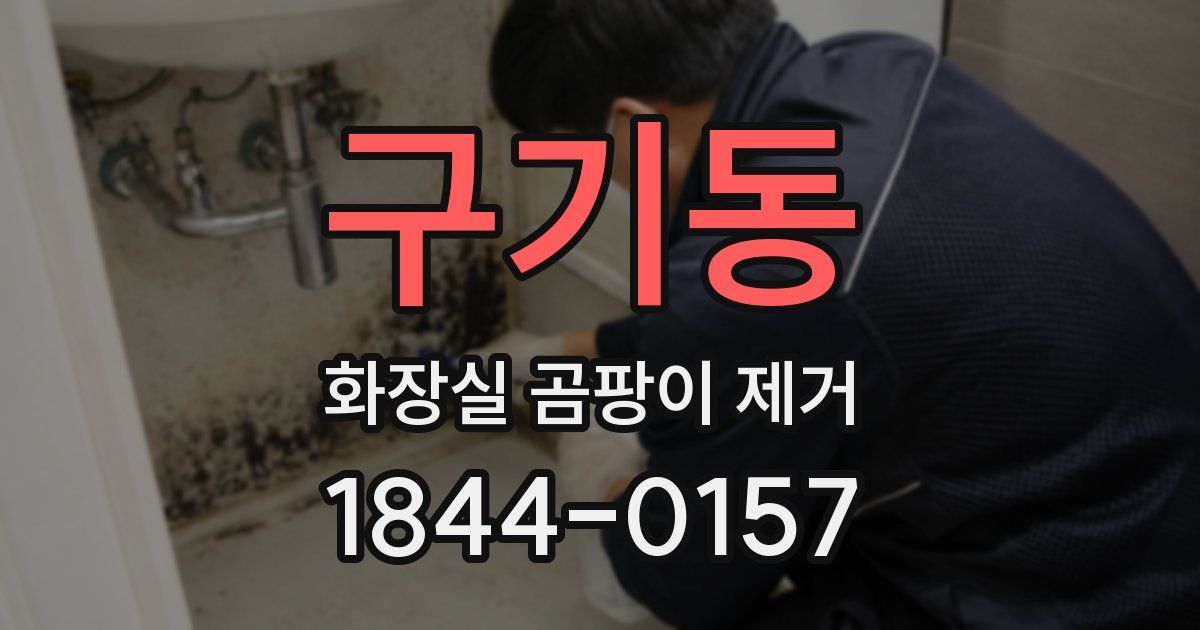 구기동 화장실 곰팡이 제거