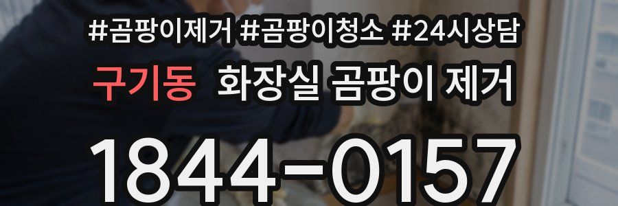 구기동 화장실 곰팡이 제거