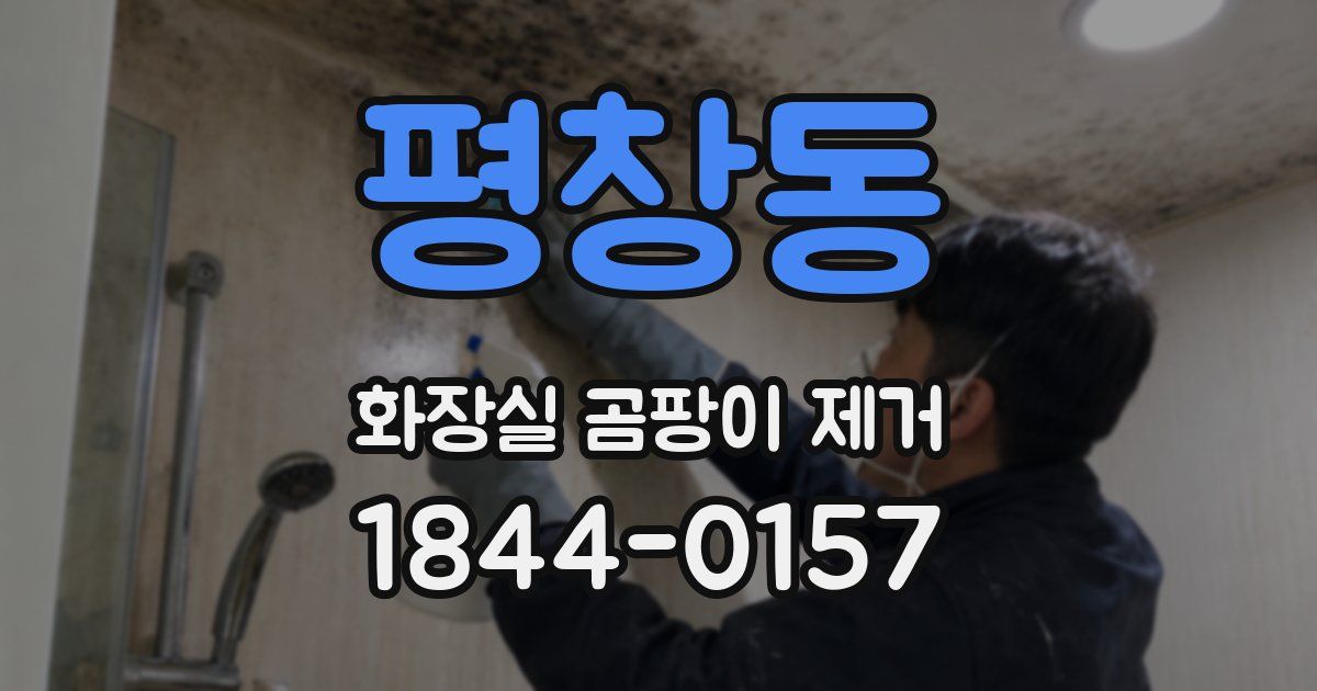 평창동 화장실 곰팡이 제거