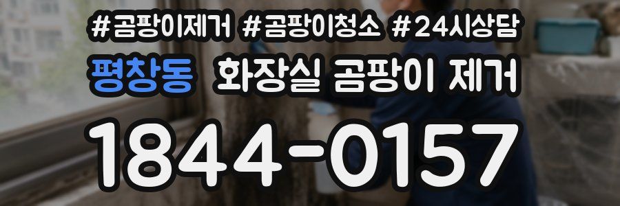 평창동 화장실 곰팡이 제거