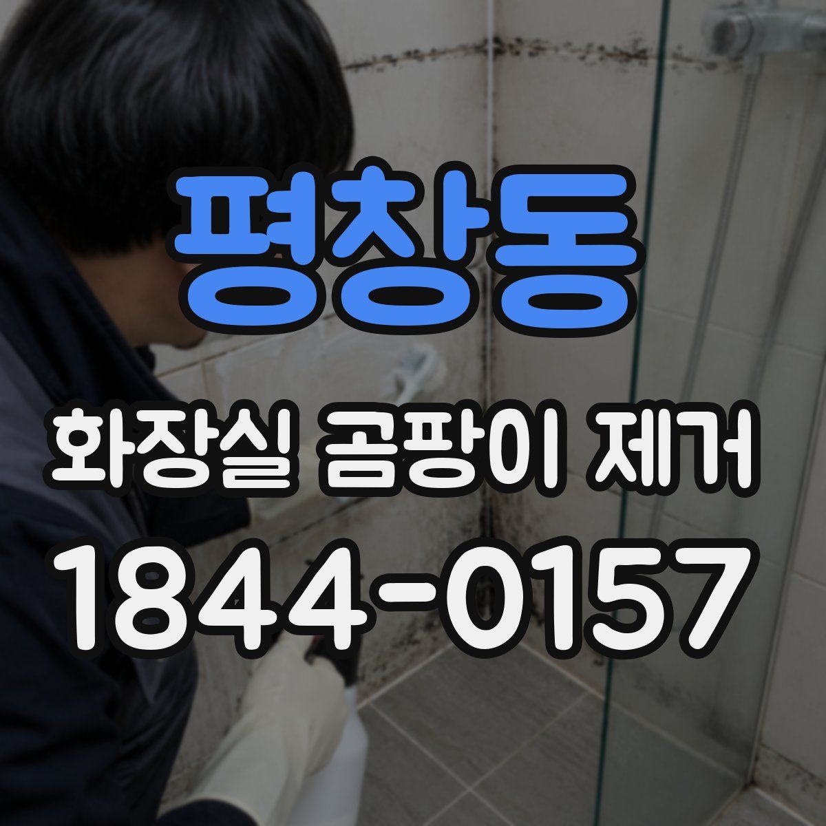 평창동 화장실 곰팡이 제거