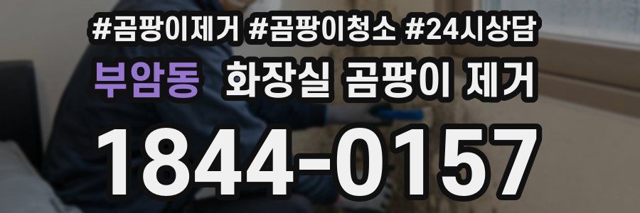 부암동 화장실 곰팡이 제거