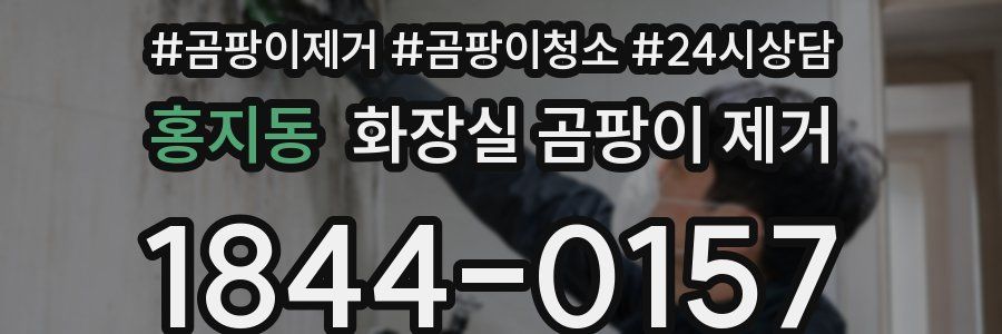 홍지동 화장실 곰팡이 제거