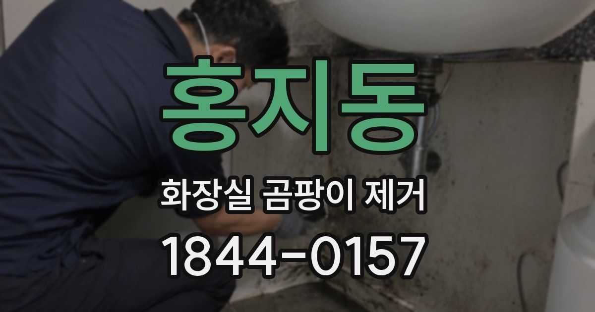 홍지동 화장실 곰팡이 제거