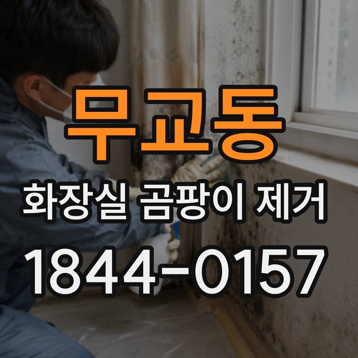 무교동 화장실 곰팡이 제거 반려동물 노출을 줄이는 청소 방식