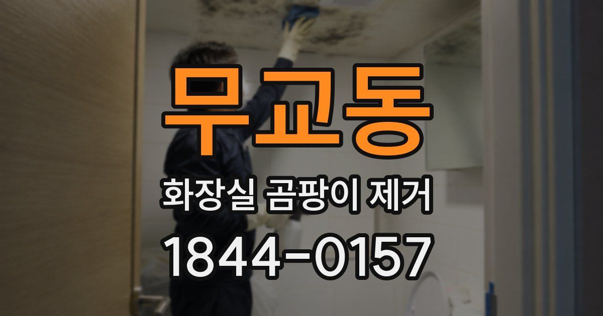 무교동 화장실 곰팡이 제거