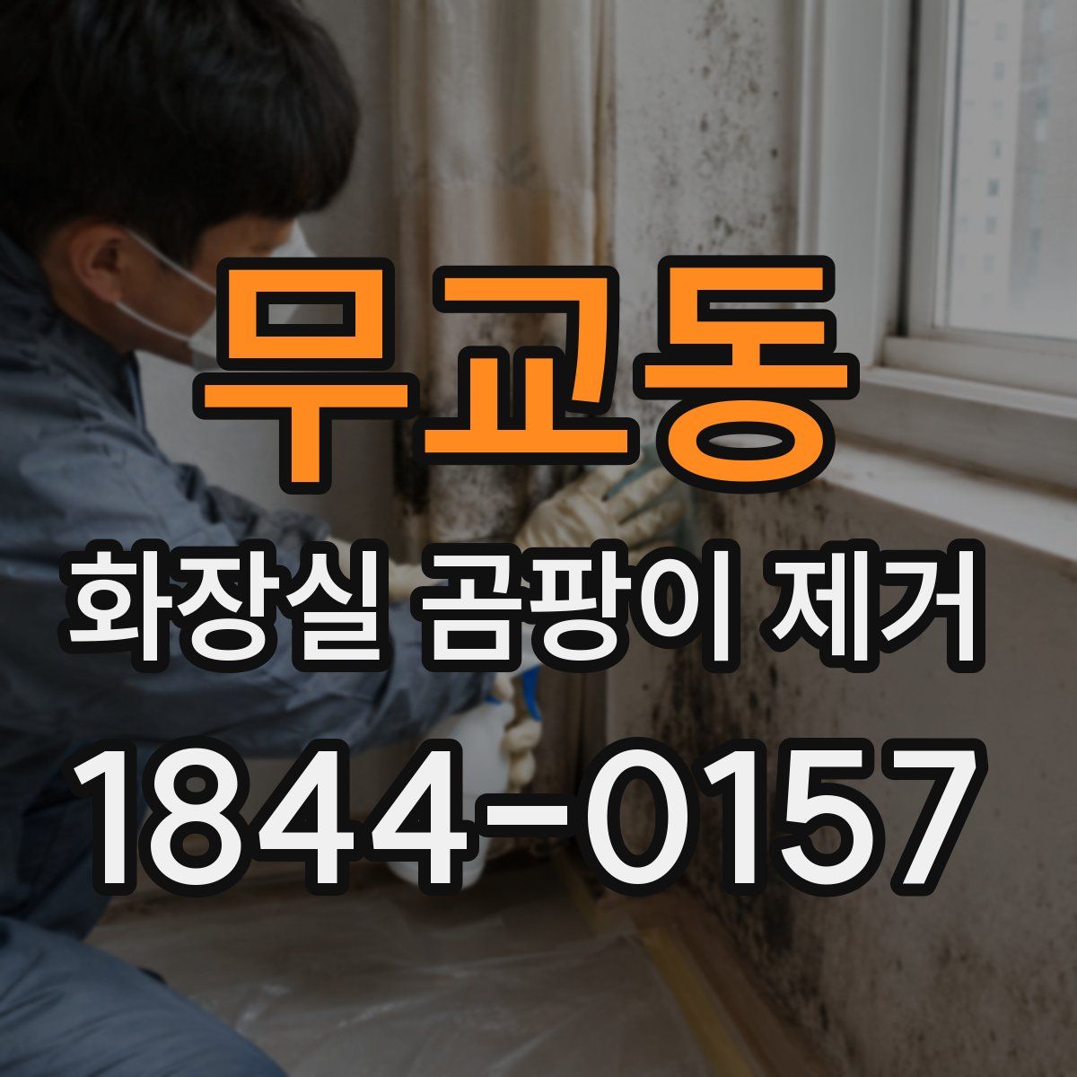 무교동 화장실 곰팡이 제거