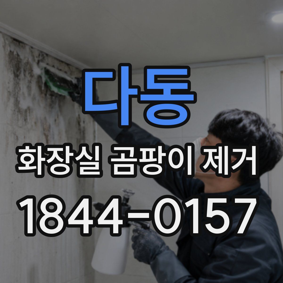 다동 화장실 곰팡이 제거