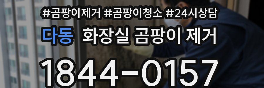 다동 화장실 곰팡이 제거