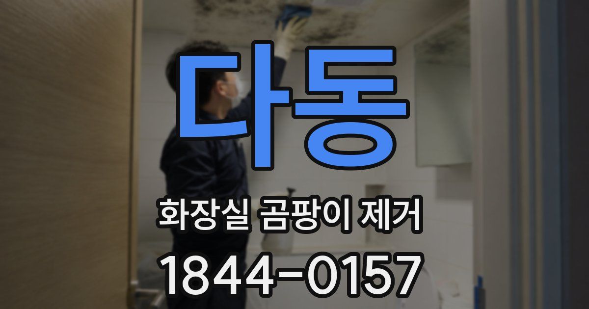 다동 화장실 곰팡이 제거