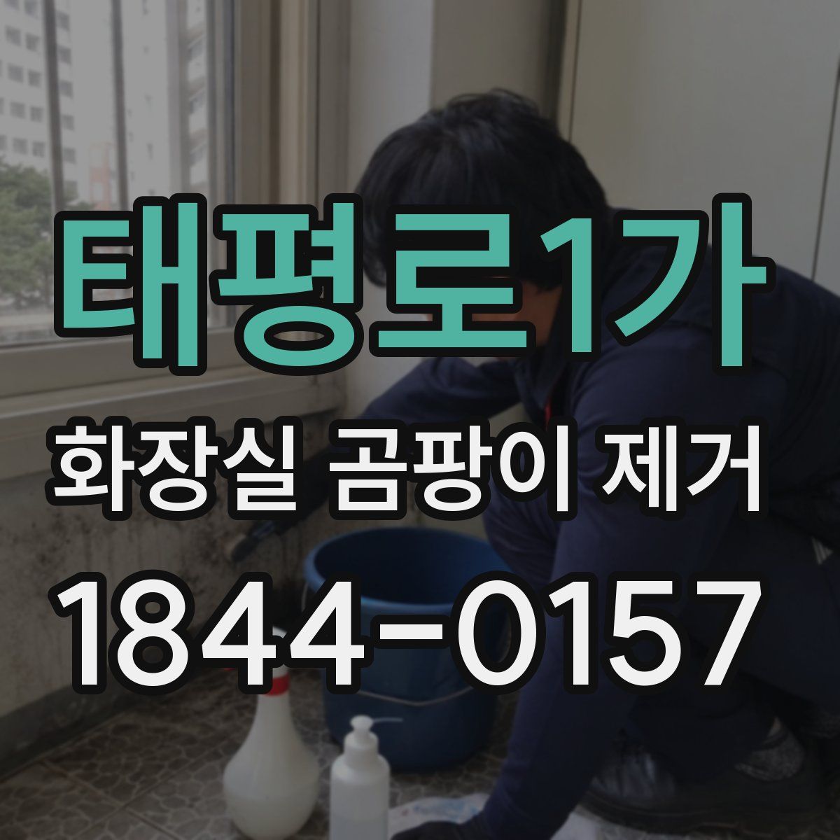 태평로1가 화장실 곰팡이 제거