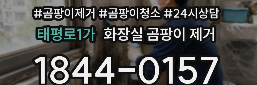 태평로1가 화장실 곰팡이 제거