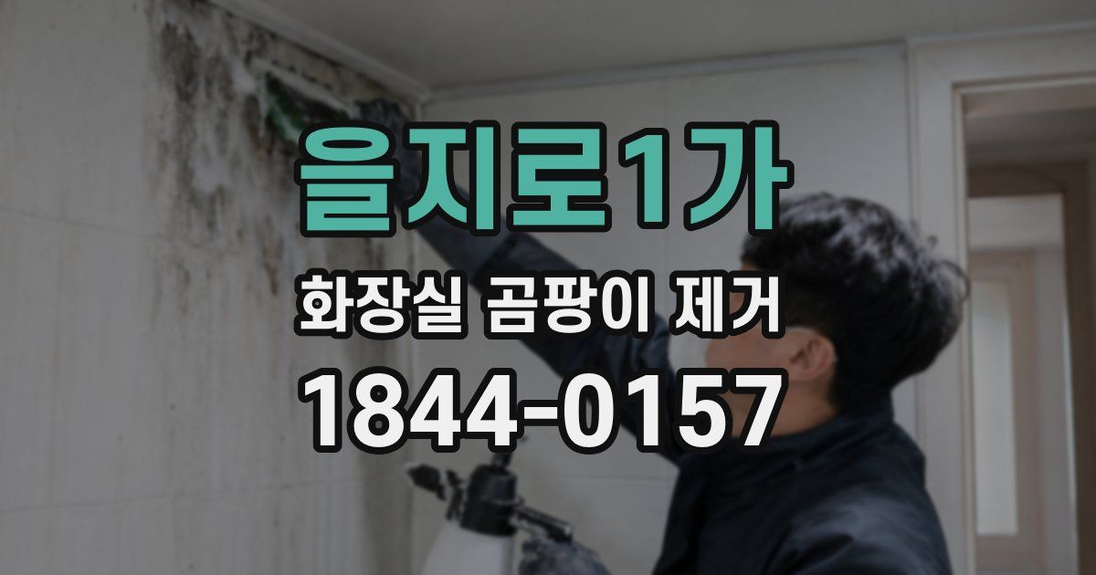 을지로1가 화장실 곰팡이 제거