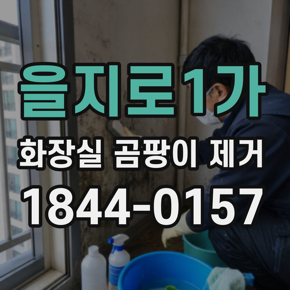 을지로1가 화장실 곰팡이 제거