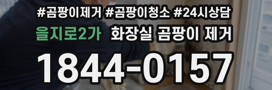 을지로2가 화장실 곰팡이 제거