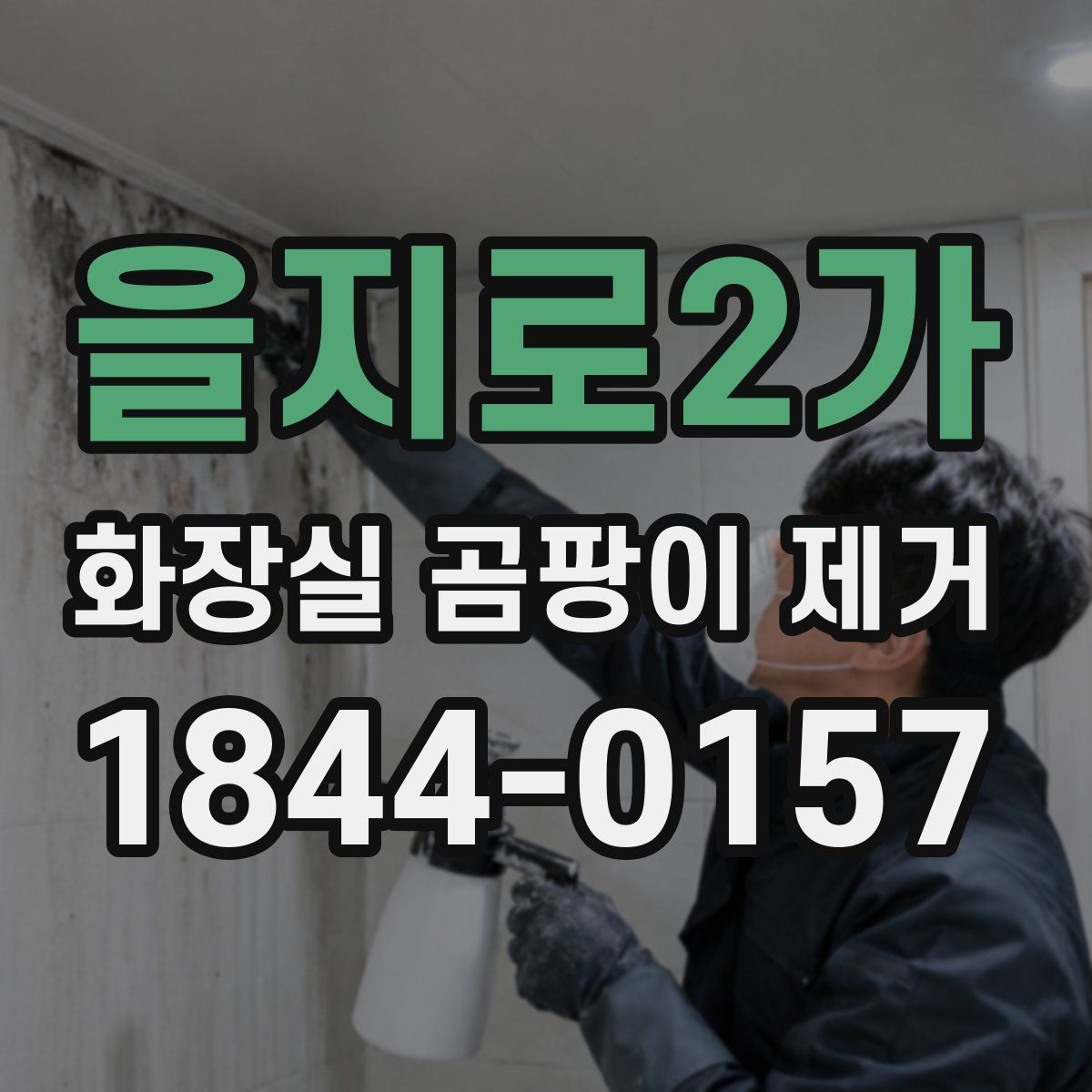 을지로2가 화장실 곰팡이 제거