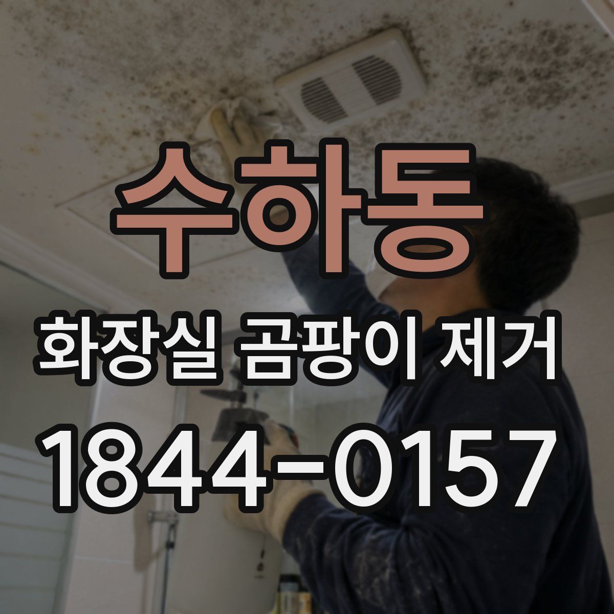 수하동 화장실 곰팡이 제거