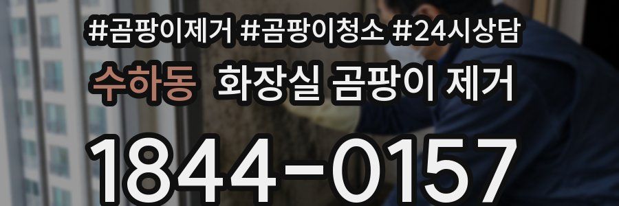수하동 화장실 곰팡이 제거