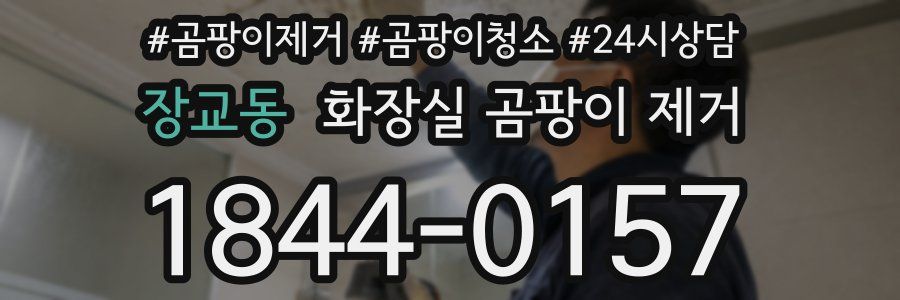 장교동 화장실 곰팡이 제거